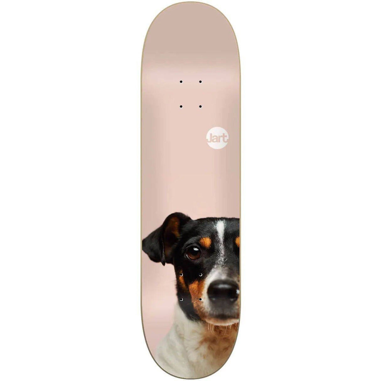 Jart Friends Skateboard Deck - 8.125''