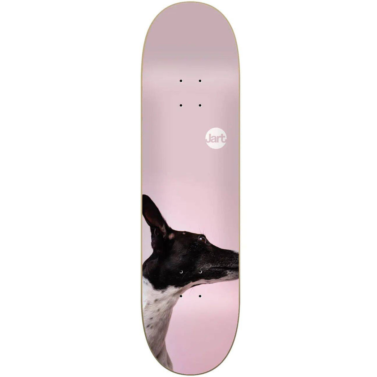 Jart Friends Skateboard Deck - Black 8''