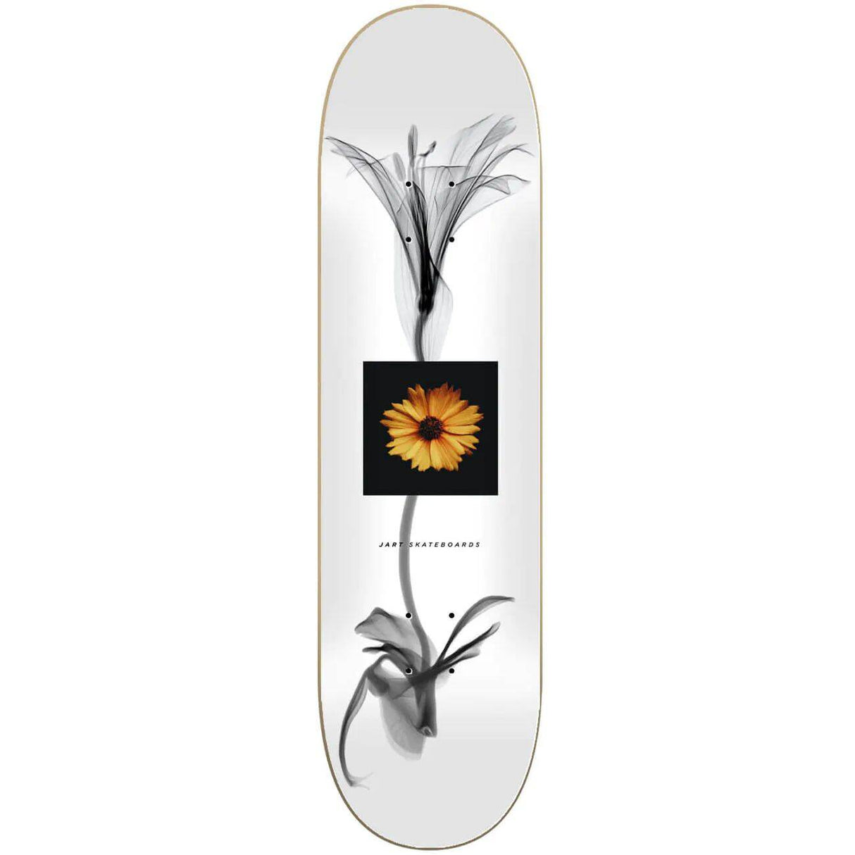 Jart X-Ray Skateboard Deck - 8.25''
