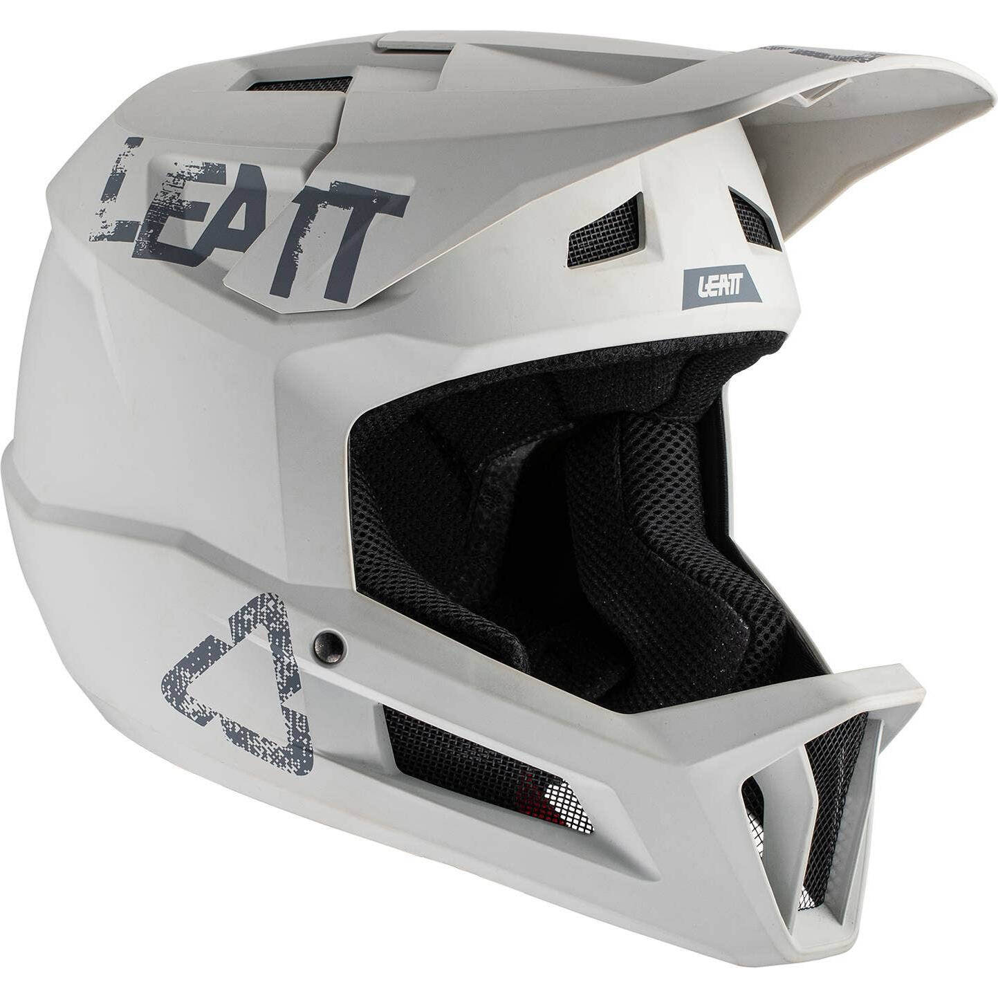 Leatt MTB 1.0 DH Full Face Helmet - Steel