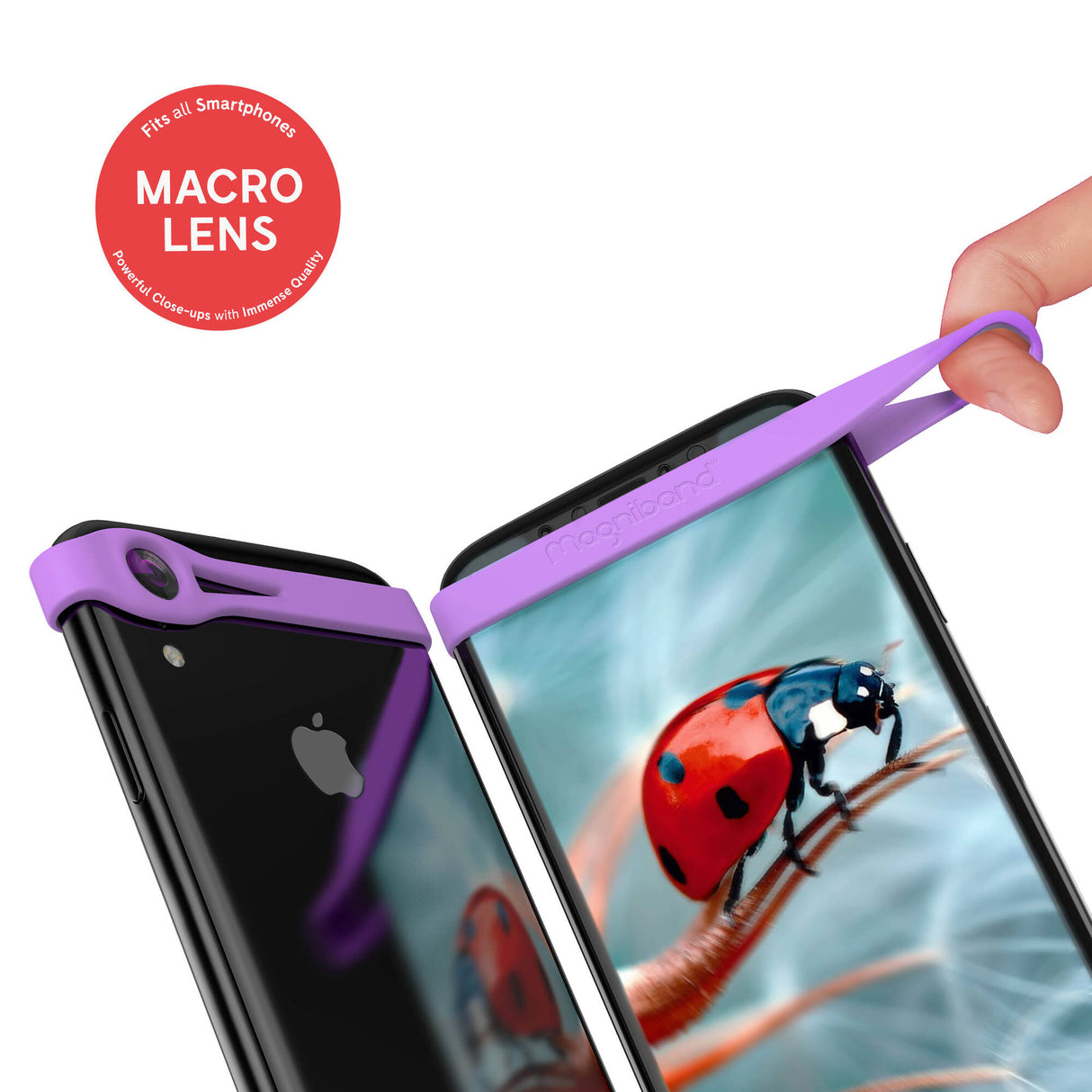 Magniband - Purple