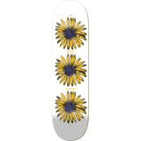 The National Skate Co Team Logo Skateboard Deck 8.125"