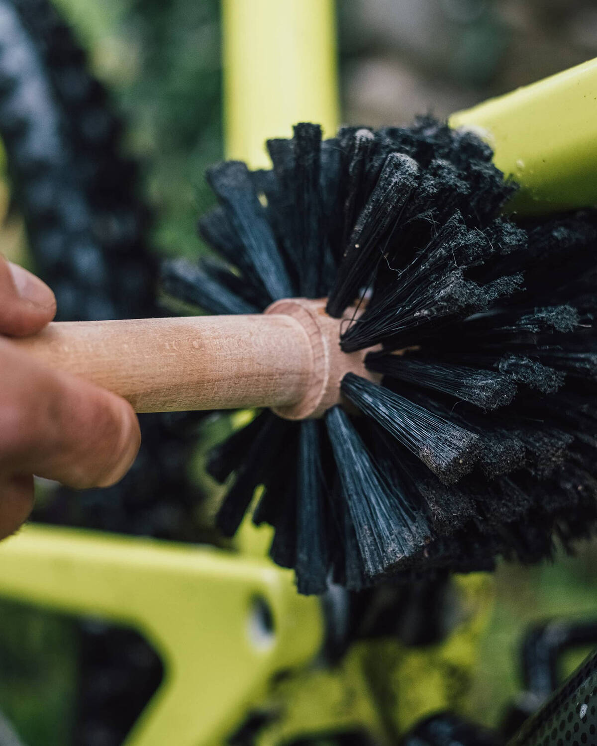 Peatys Bog Brush