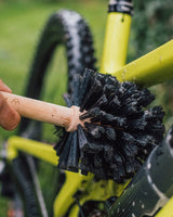 Peatys Bog Brush