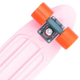 Penny Cactus Wanderlust Complete Cruiser - Pink 22''