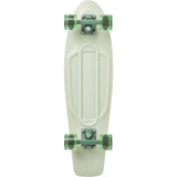 Penny Nickel Sage Complete Cruiser - 27''