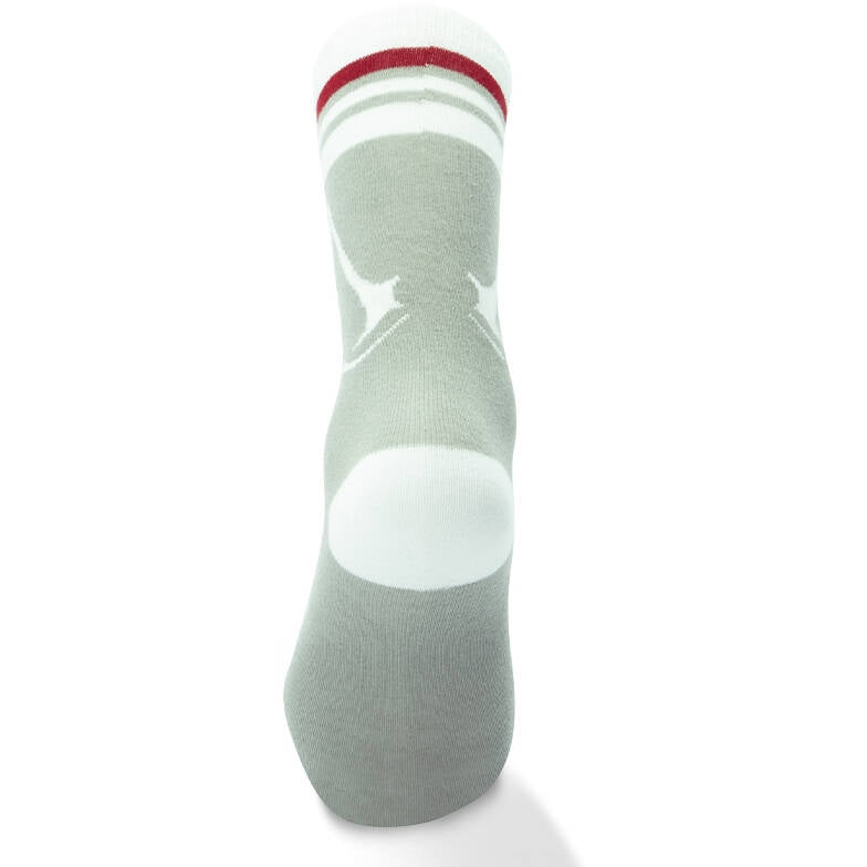 ABYstyle Assassin's Creed Crest Socks - Grey/White