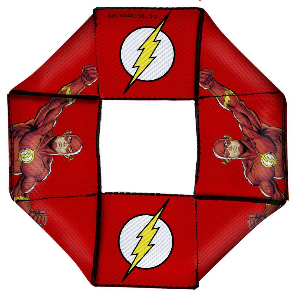 Dog Toy Octagon Flyer - Flash Character + Logo