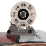 Plan B Raised Tiger Complete Skateboard - 7.87"