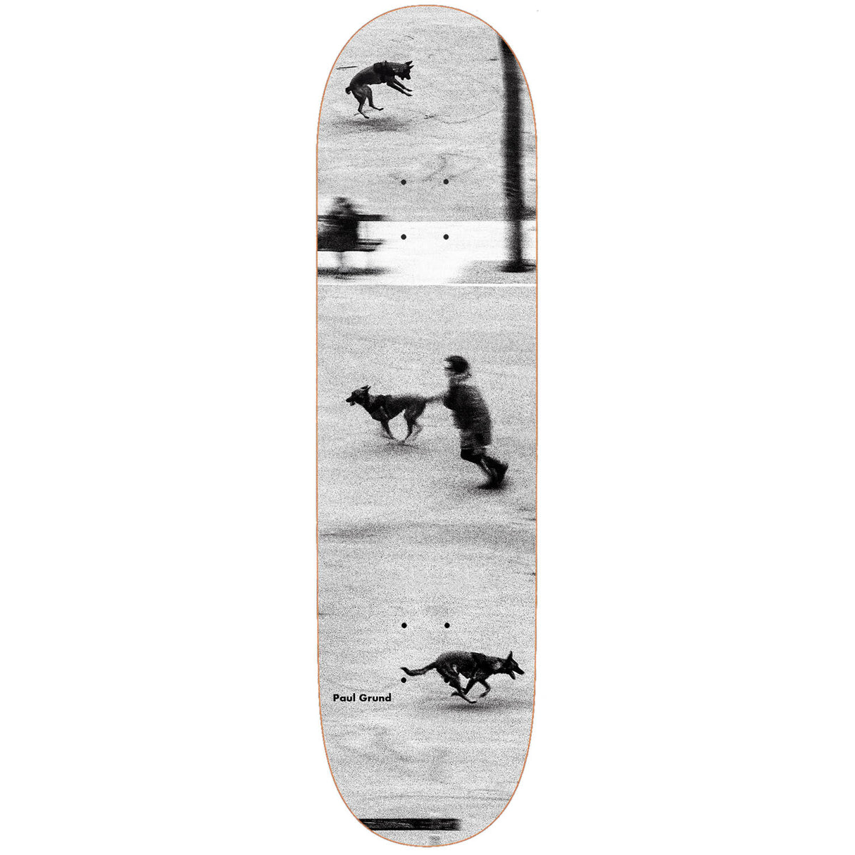 Polar Dog Studies Skateboard Deck - Grund 8.75''