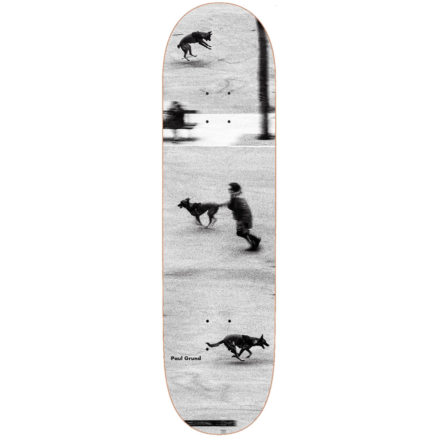 Polar Dog Studies Skateboard Deck - Grund 8.75''