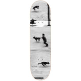 Polar Dog Studies Skateboard Deck - Grund 8.75''