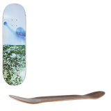 Polar Man With Window Skateboard Deck - Paul Grund 8.375"