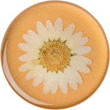 PopSockets Grip - Pressed Flower White Daisy - 2nd Generation