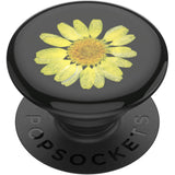 PopSockets Grip - Pressed Flower Yellow Daisy - 2nd Generation
