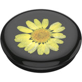 PopSockets Grip - Pressed Flower Yellow Daisy - 2nd Generation