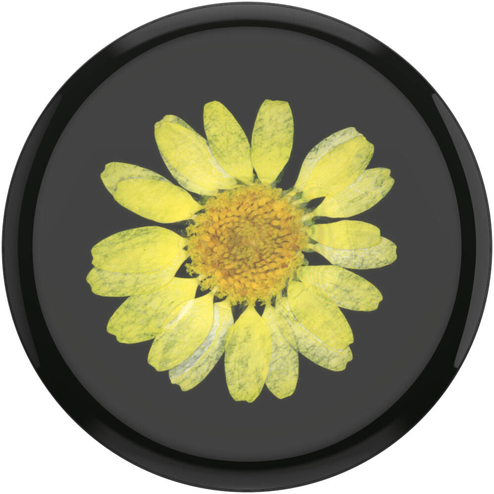 PopSockets Grip - Pressed Flower Yellow Daisy - 2nd Generation