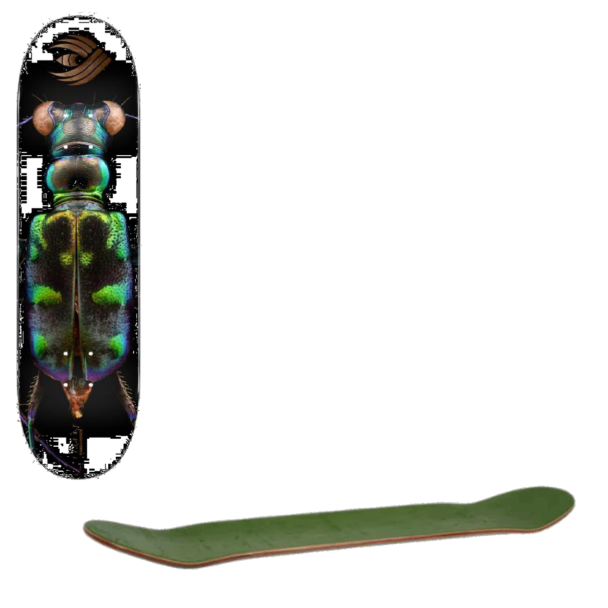 Powell Peralta Flight x Levon Biss Tiger Beetle #248 Skateboard Deck - Multi 8.25''