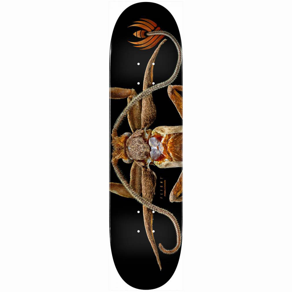 Powell Peralta Levon Biss Marion Flightless Moth #243 Skateboard Deck - Multi 8.25''