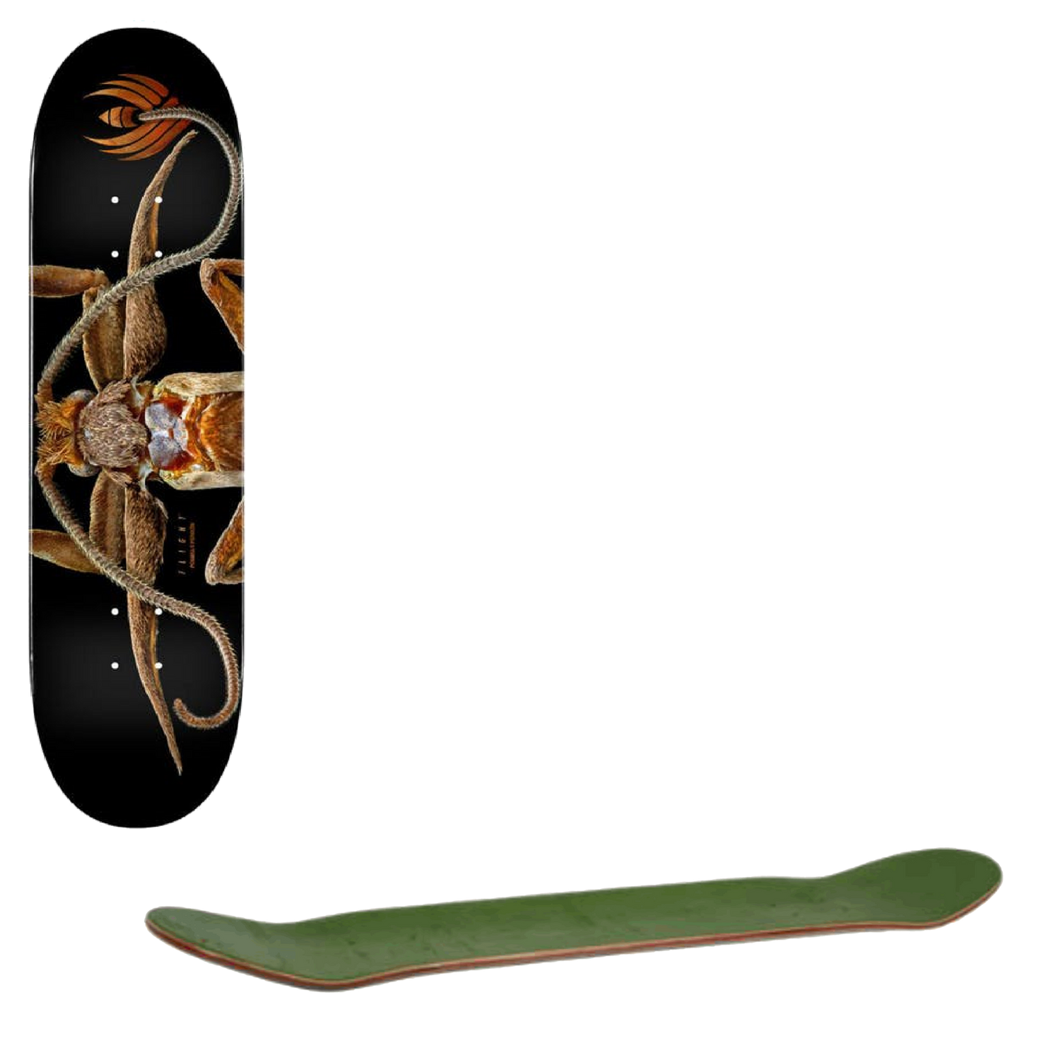Powell Peralta Levon Biss Marion Flightless Moth #243 Skateboard Deck - Multi 8.25''