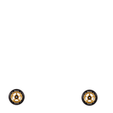 Proto Spoked Sliders Pro 110mm Scooter Wheel - Gold/Black