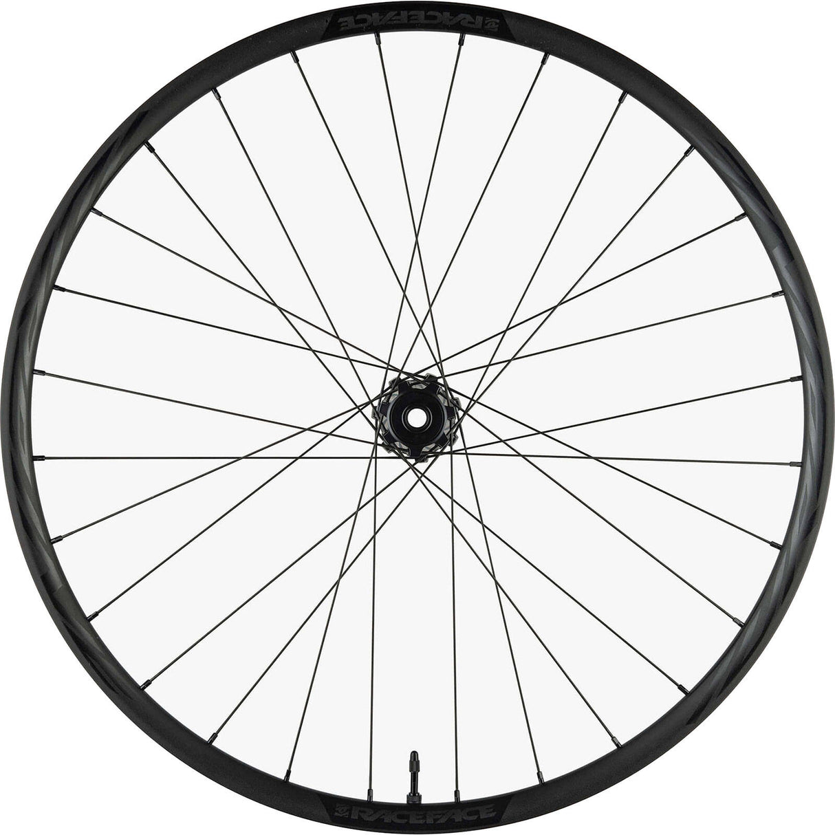 Race Face 2021 Alloy Turbine-R 30mm Rear 29'' 12x148 Boost Mountain Bike Wheel