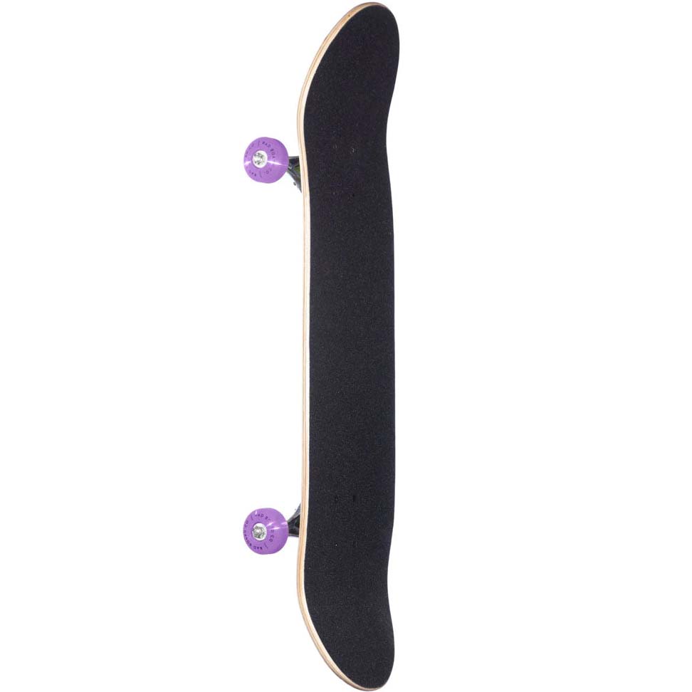 Rad Progressive Complete Skateboard Neochrome - 8.25"