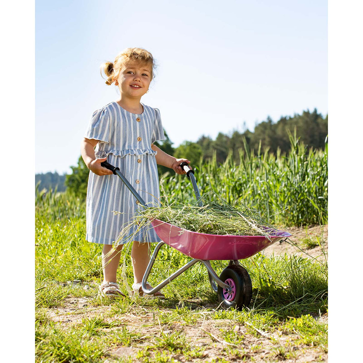 Rolly Toys Metal Wheelbarrow - Pink