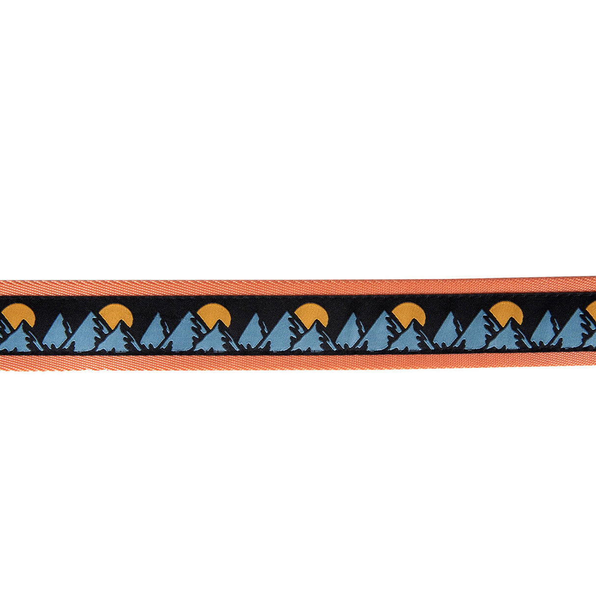 Santa Cruz Vista Belt - Dusty Orange