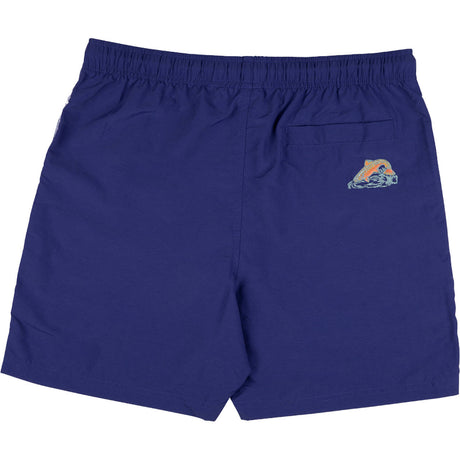 Santa Cruz Vista Swimming Shorts - Navy