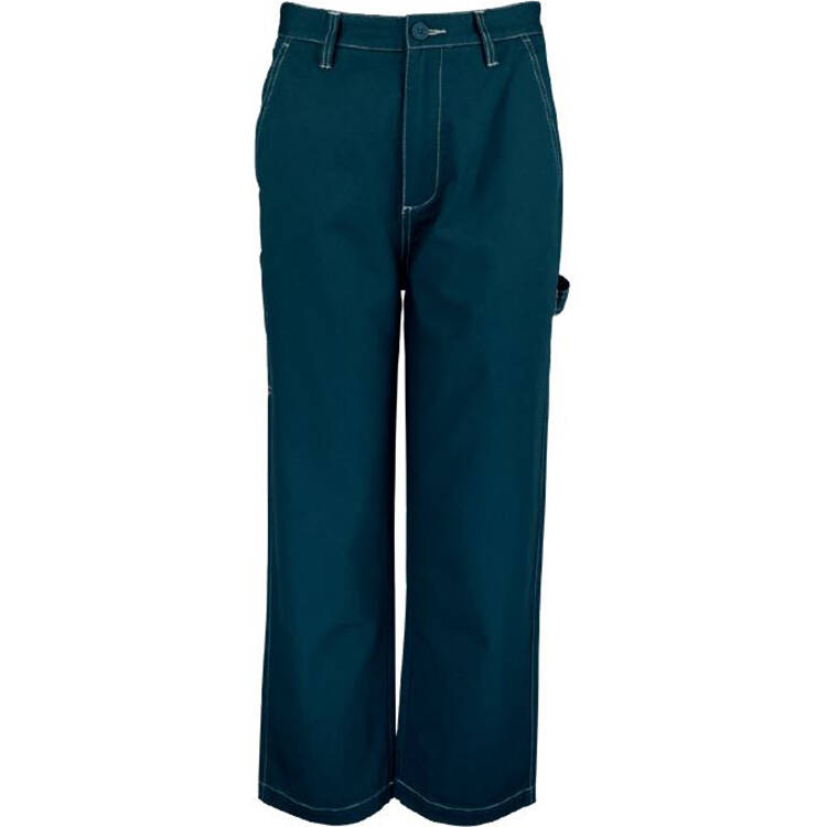Santa Cruz Nolan Carpenter Womens Pant - Blue Coral/White