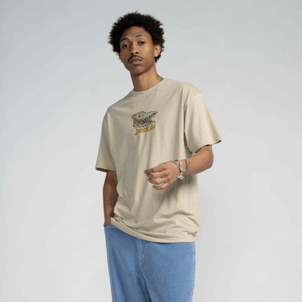 Santa Cruz Braun Fever Dream T Shirt - Stone Grey