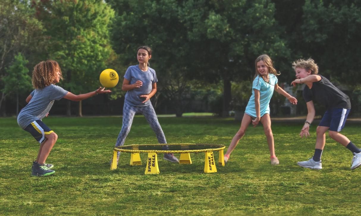 [Box Damage] Spikeball Rookie Set