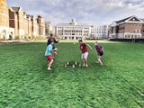 [Box Damage] Spikeball Standard/Combo Set