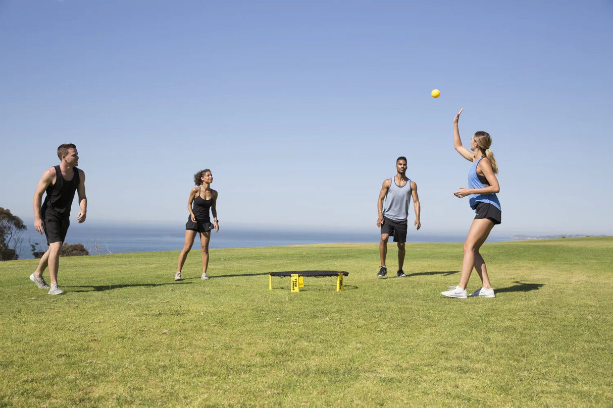 [Box Damage] Spikeball Standard/Combo Set