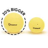 Spikeball Family Set