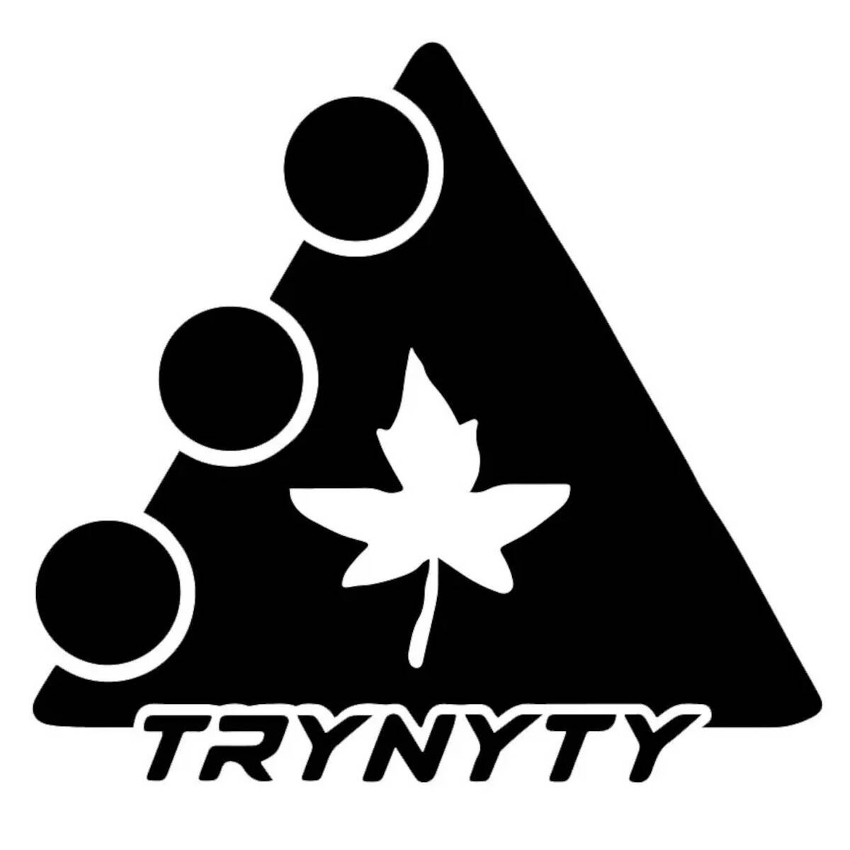Trynyty Leaf Logo Sticker - Black