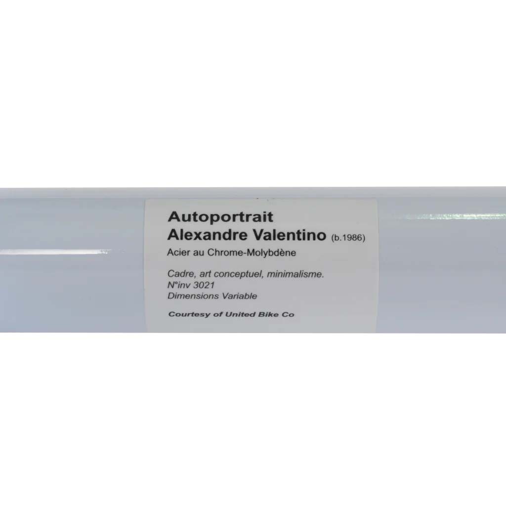 United Auto Portrait Alex Valentino Sig 20.5" BMX Frame - Pale Grey