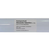 United Auto Portrait Alex Valentino Sig 20.5" BMX Frame - Pale Grey