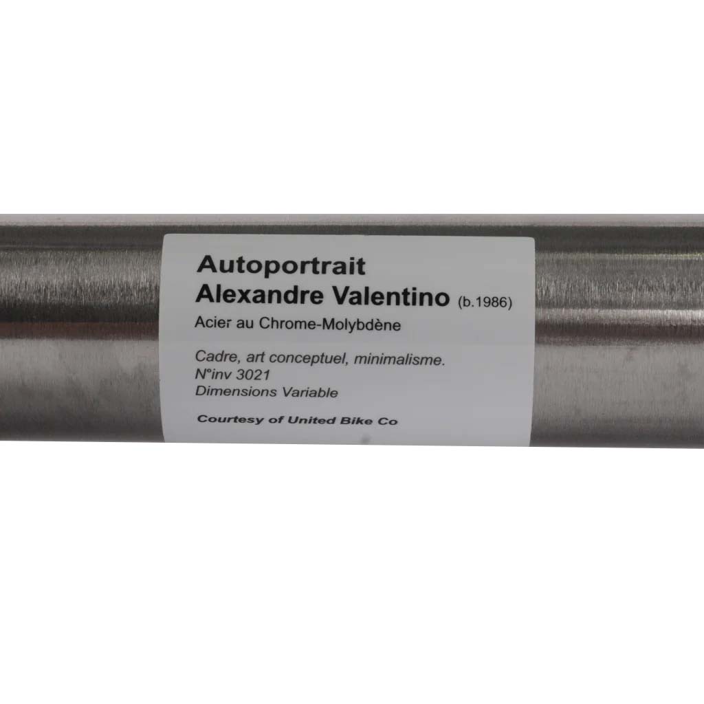 United Auto Portrait Alex Valentino Sig 20.5" BMX Frame - Raw