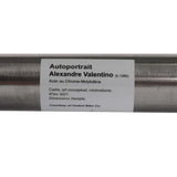 United Auto Portrait Alex Valentino Sig 20.8" BMX Frame - Raw