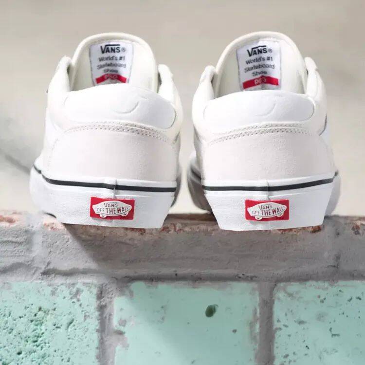 Vans Rowan Pro Skate Shoes - Marshmallow/White