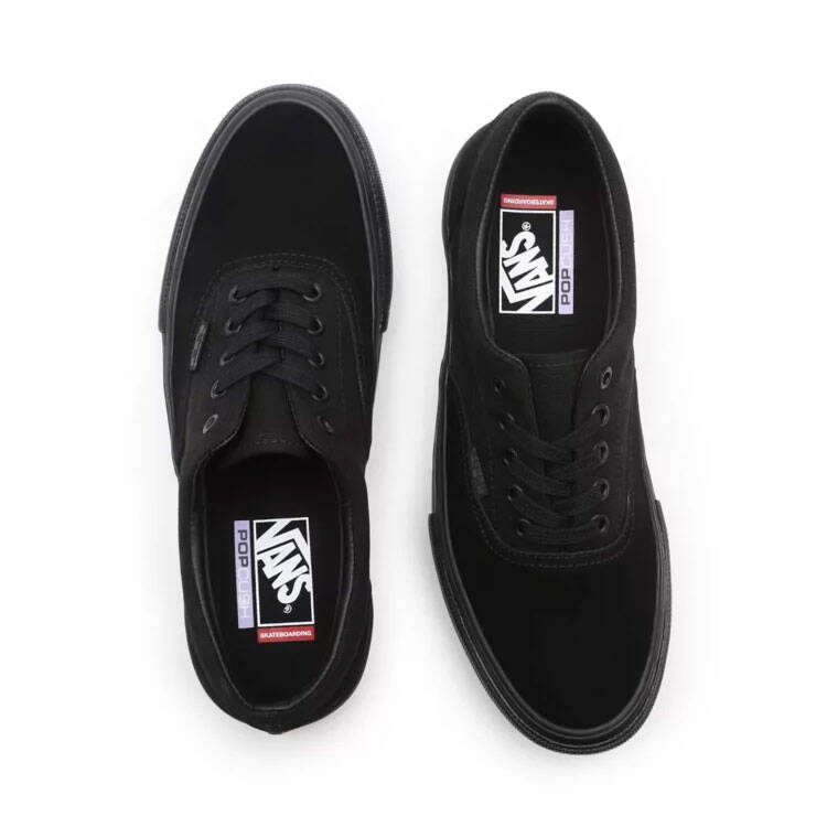 Vans Skate Era Skate Shoes - Black/Black