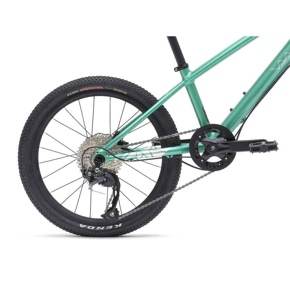 Vaast Y/1 20" Youth Mountain Bike - Gloss Teal