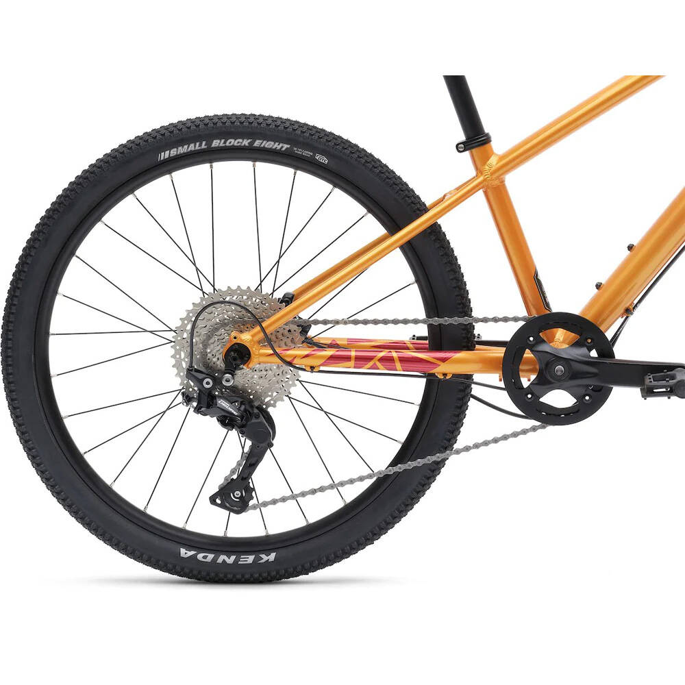 Vaast Y/1 24" Youth Mountain Bike - Gloss Orange