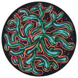 Waboba Wingman Artist Series Frisbee - Cactus