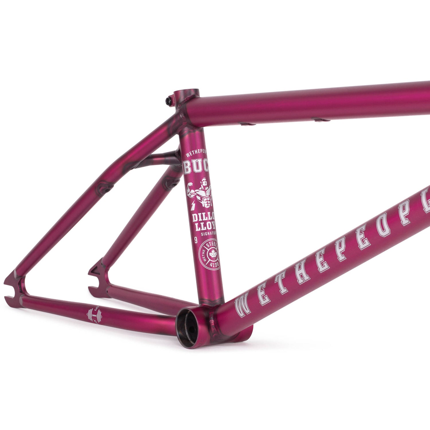WeThePeople Buck 21'' BMX Frame - Translucent Purple