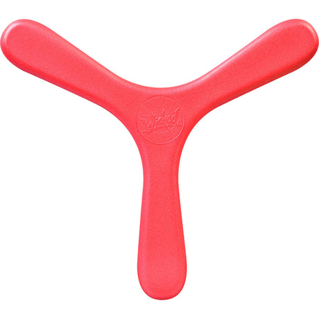Wicked Indoor Booma Boomerang