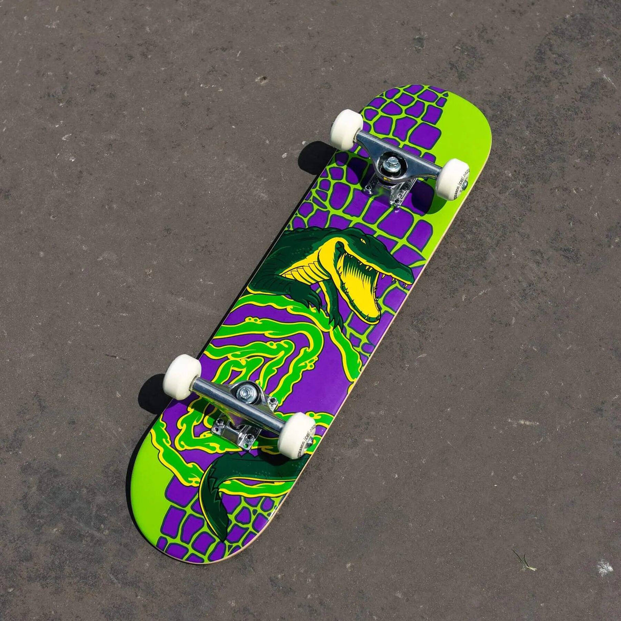 Z-Flex Mini Gator Complete Skateboard - Green/Purple 7.25''