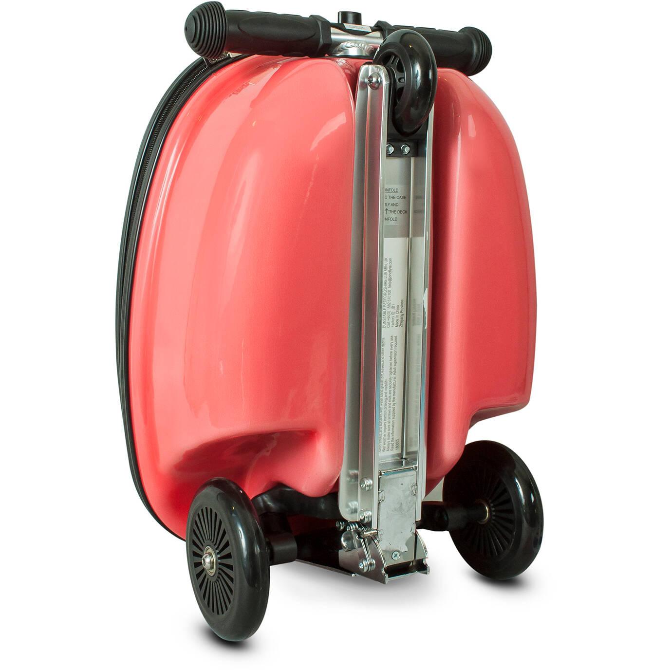 Zinc Flyte Midi Case Scooter - Darwin The Dino